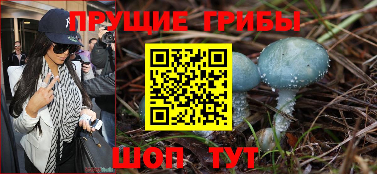 Галлюциногенные грибы Psilocybine cubensis Беслан