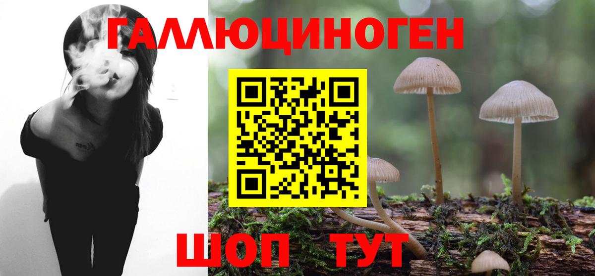 Псилоцибиновые грибы MAGIC MUSHROOMS  Вход с VPN  Беслан 